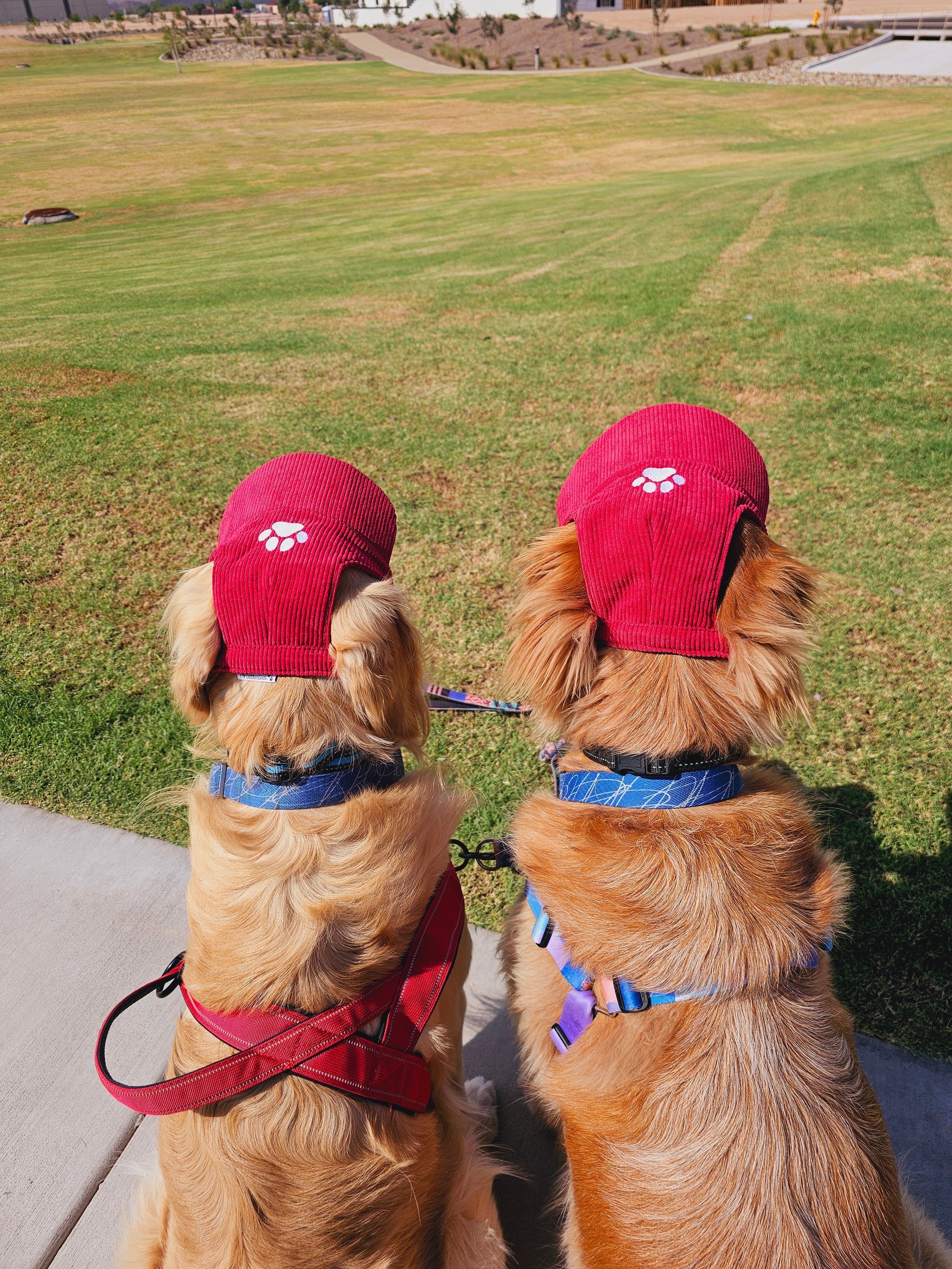 Fashionable Corduroy Dog Hat