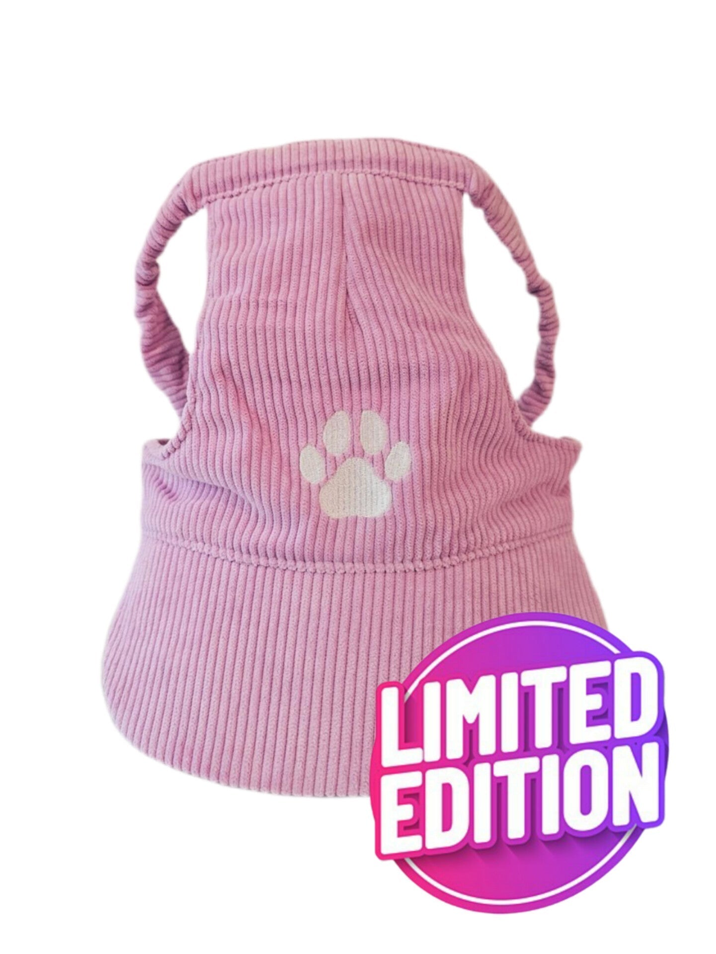 Fashionable Corduroy Dog Hat