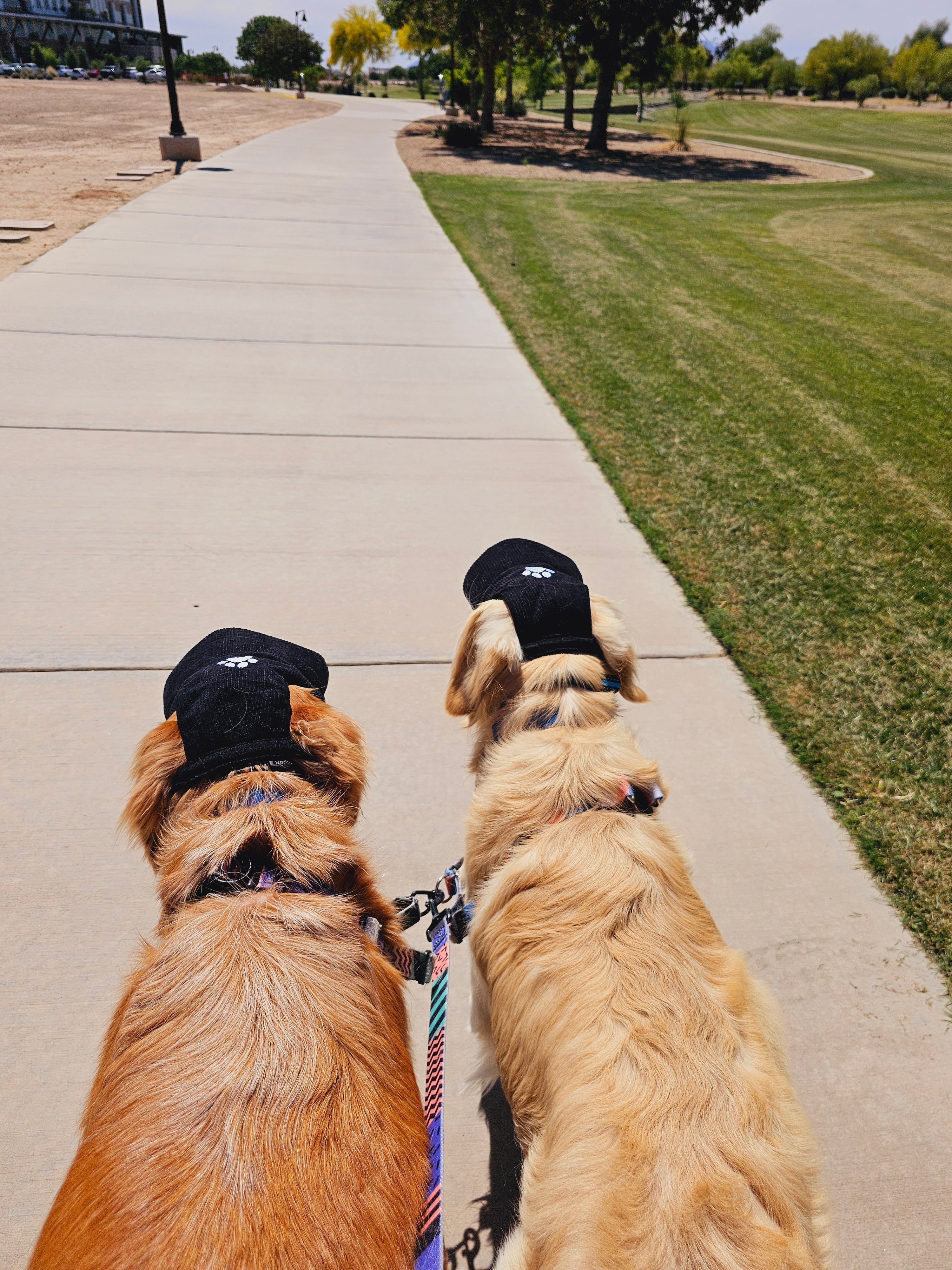 Fashionable Corduroy Dog Hat