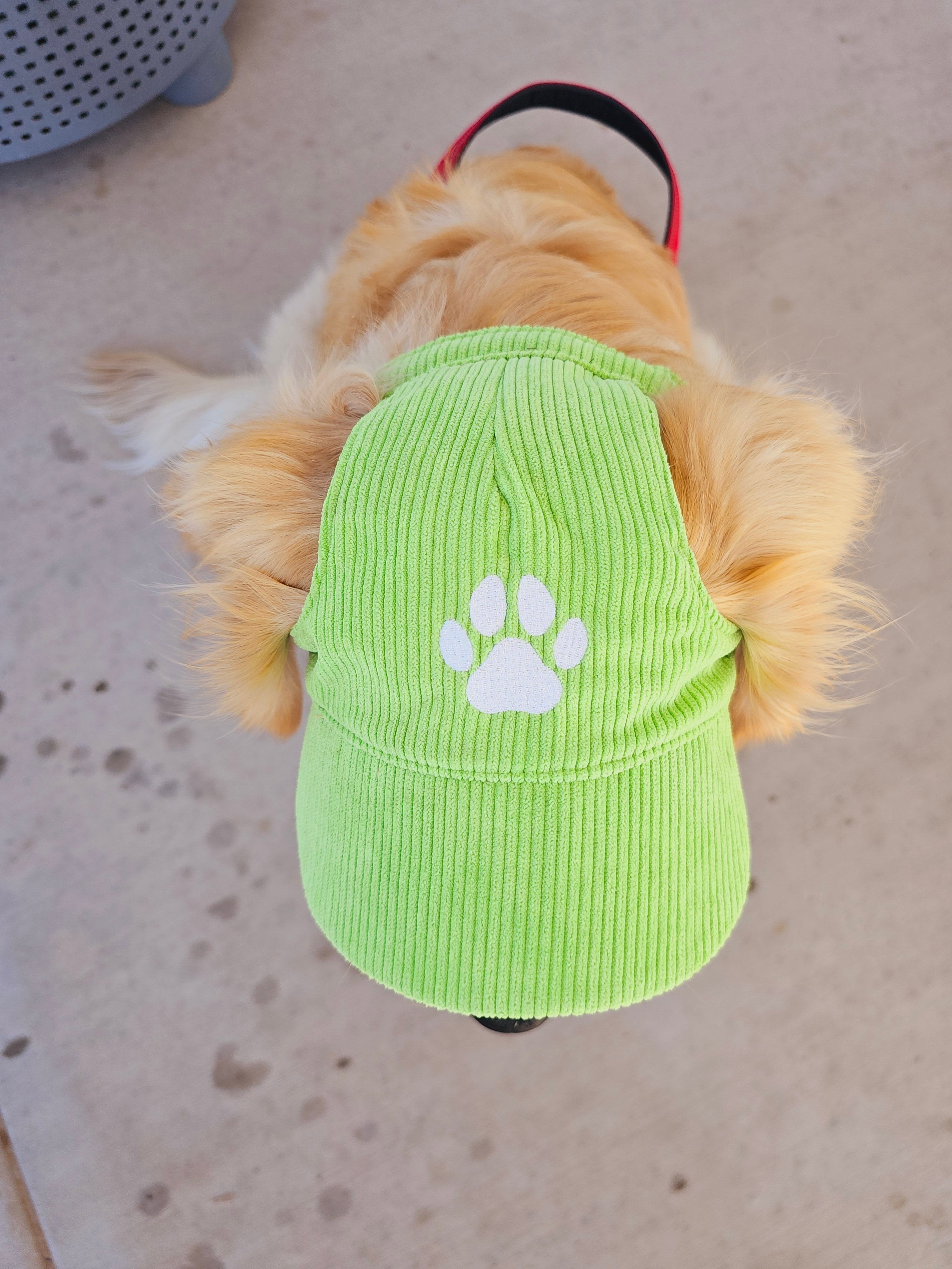 Fashionable Corduroy Dog Hat