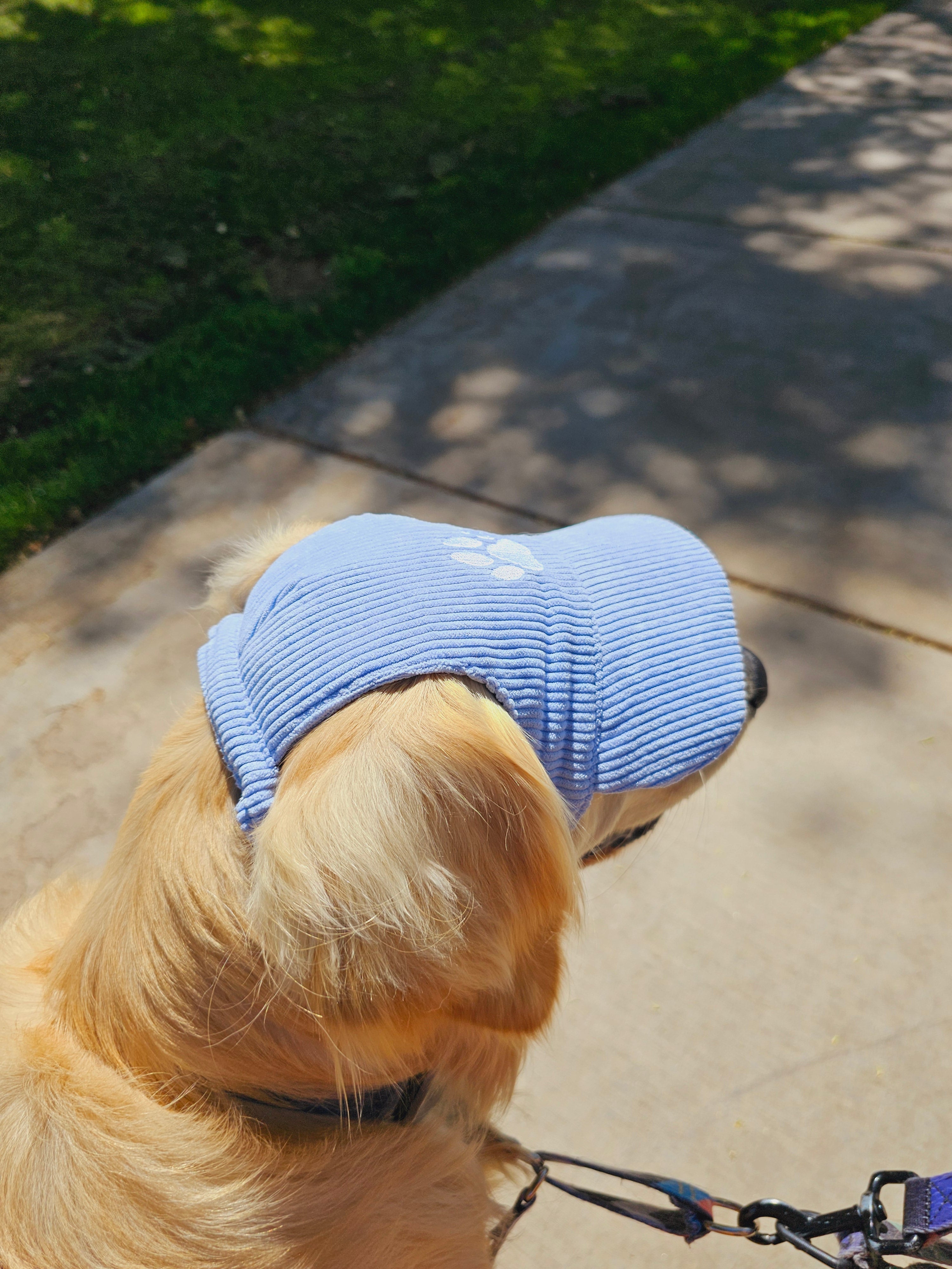 Fashionable Corduroy Dog Hat