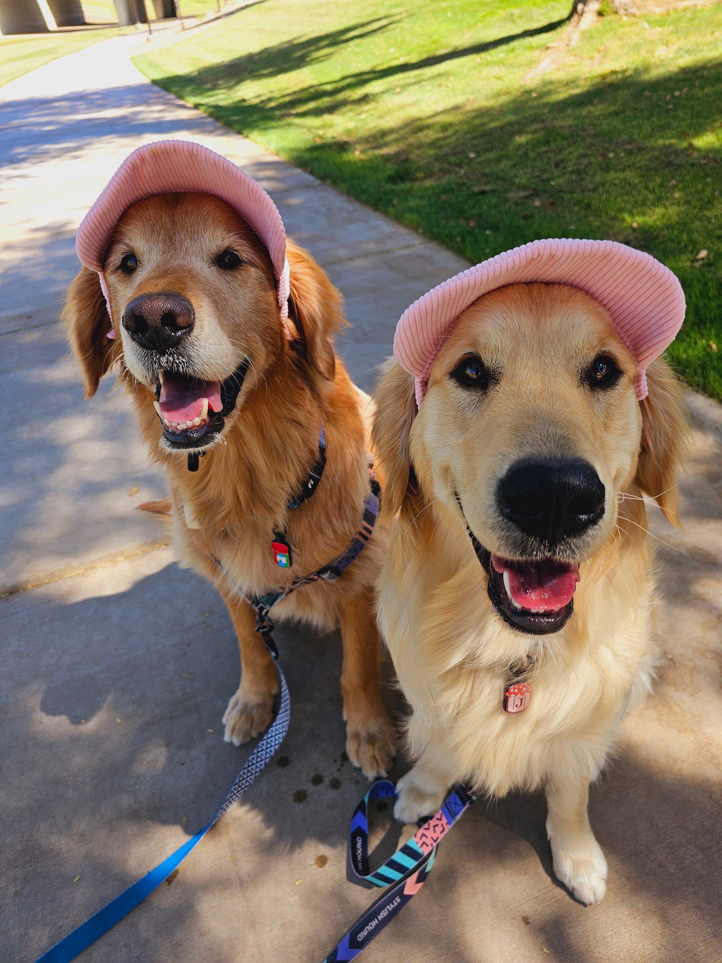 Fashionable Corduroy Dog Hat