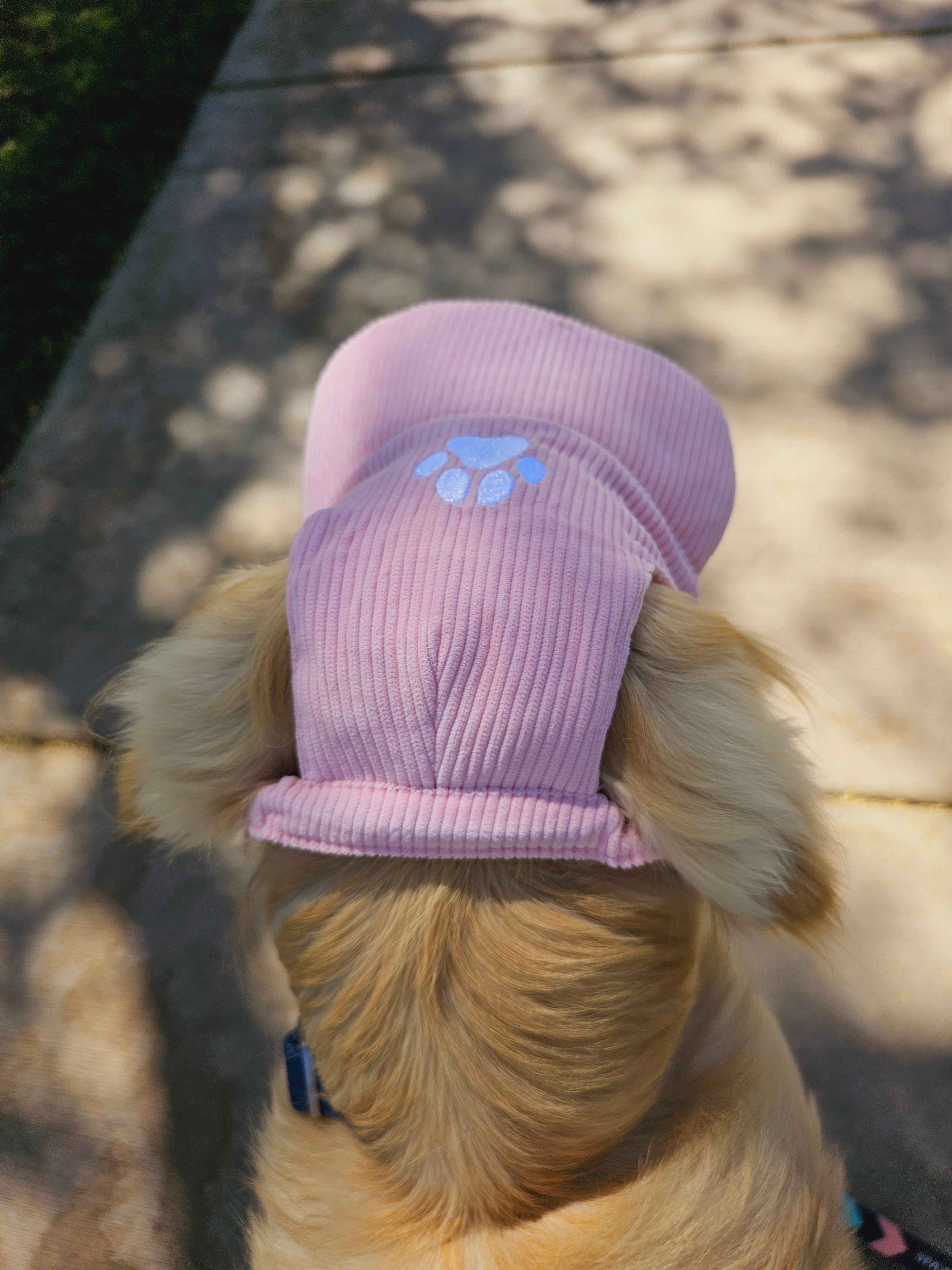 Fashionable Corduroy Dog Hat