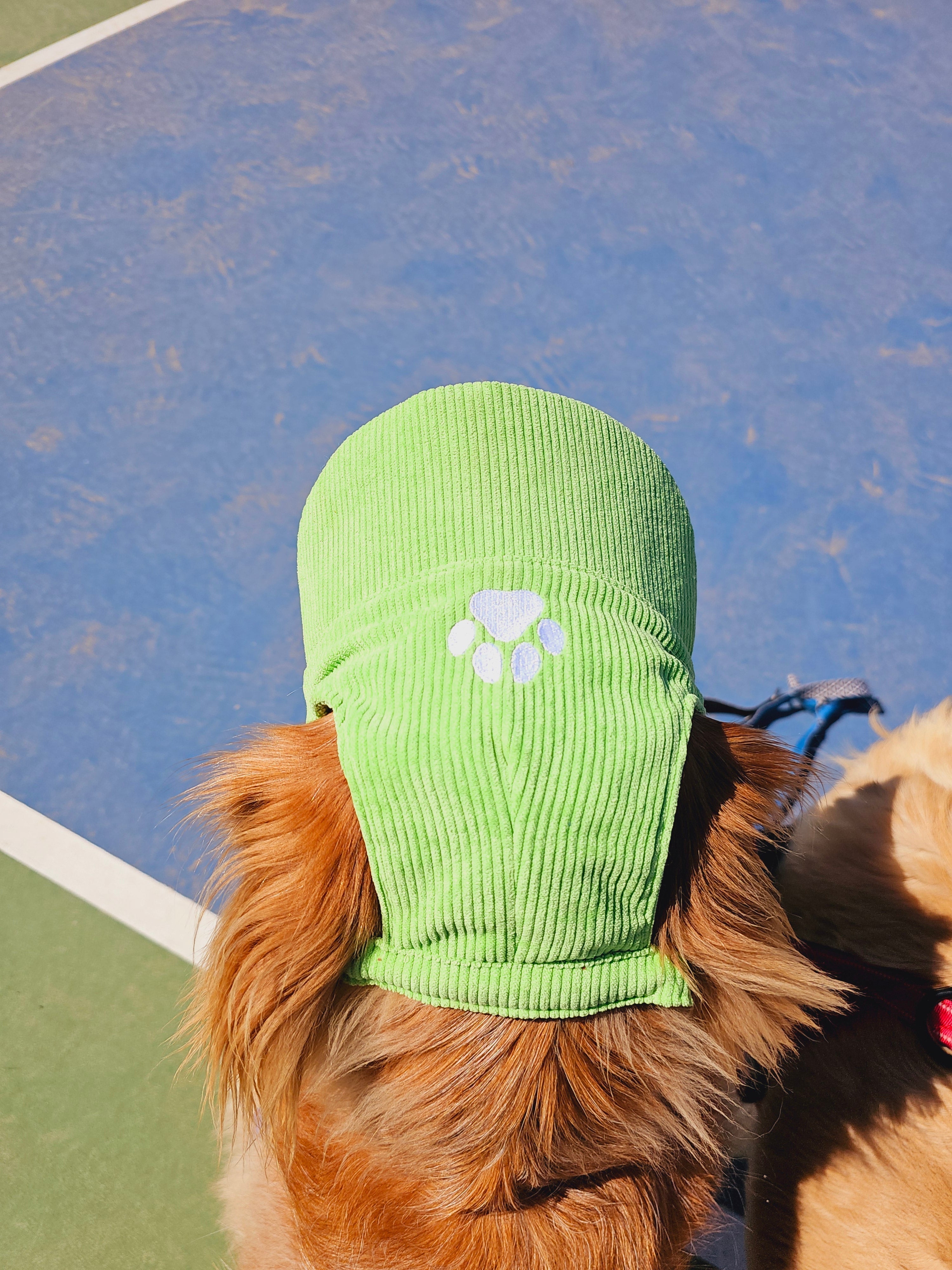 Fashionable Corduroy Dog Hat