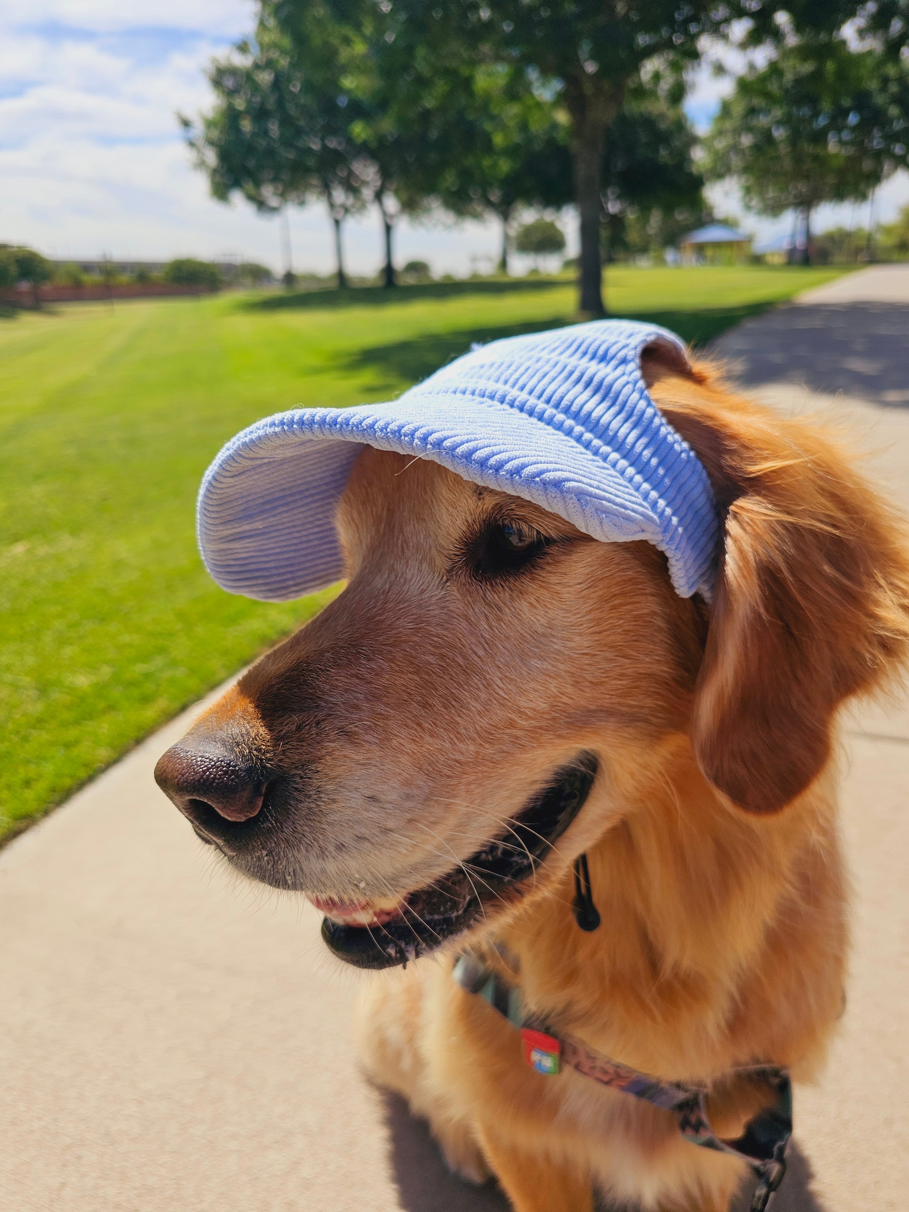 Fashionable Corduroy Dog Hat