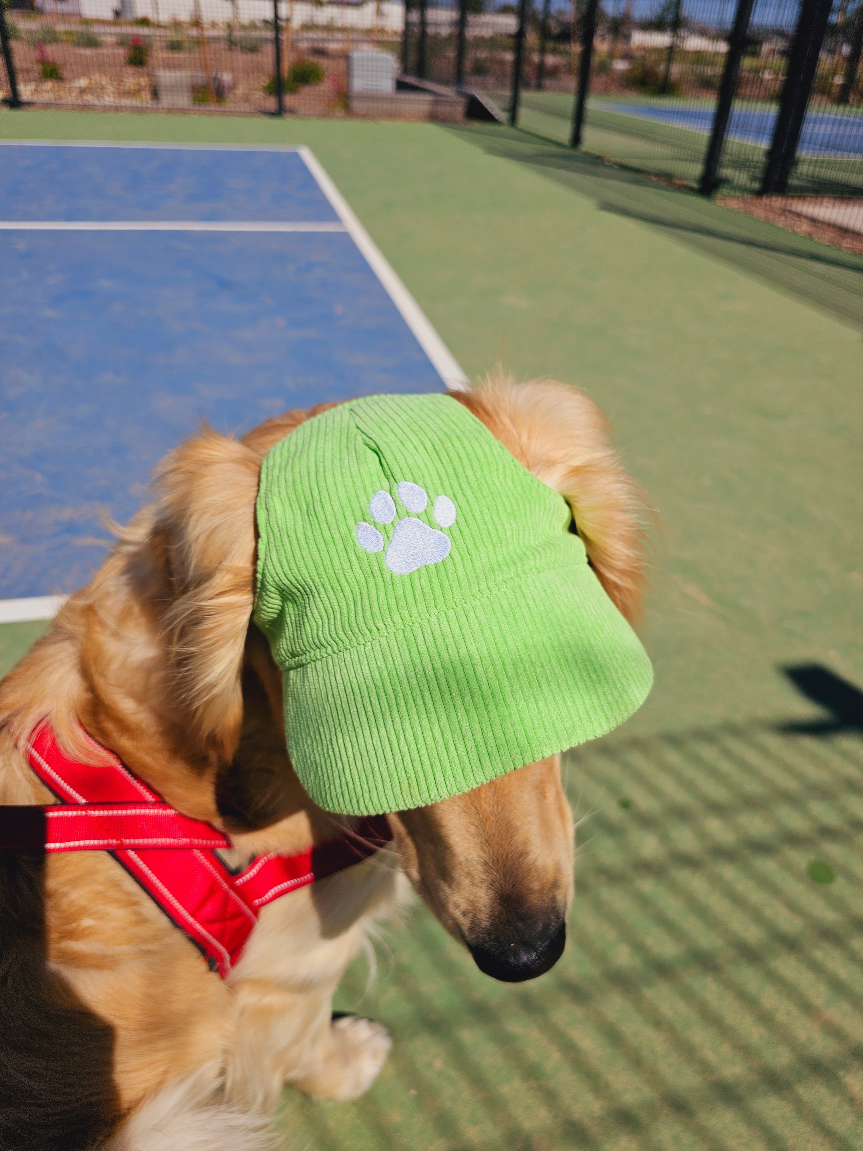Fashionable Corduroy Dog Hat