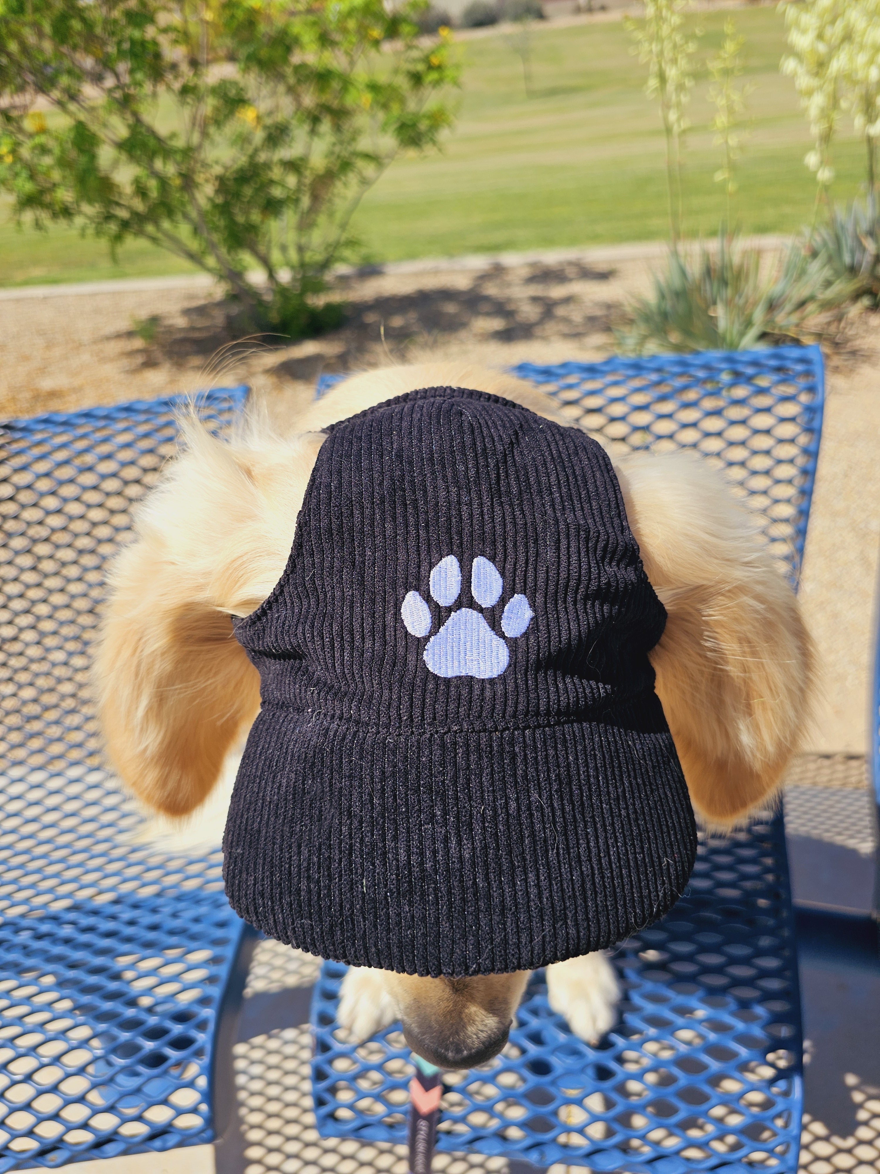 Fashionable Corduroy Dog Hat